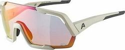 Alpina Rocket QV cool-grey matt