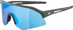 Alpina Sonic HR Q midnight-grey matt