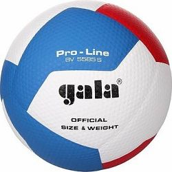 Gala Pro Line 12 BV 5585 S