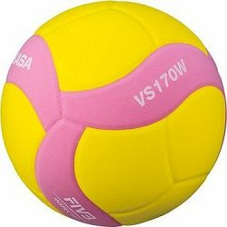 Mikasa V170-YP
