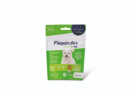 Flexadin 4Life Young Dog Mini žvýkací 60tbl